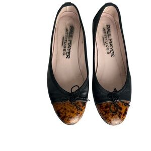 Paul Mayer Attitudes Flats